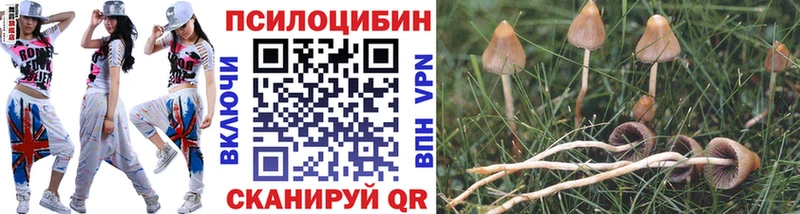 Псилоцибиновые грибы мицелий  МЕГА   Слободской 