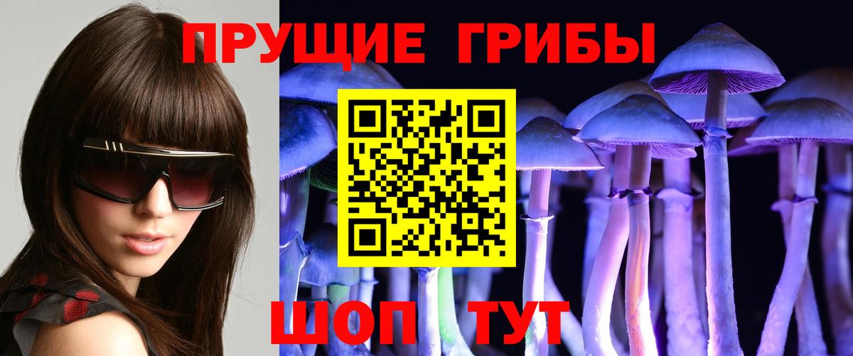 Галлюциногенные грибы Magic Shrooms Слободской